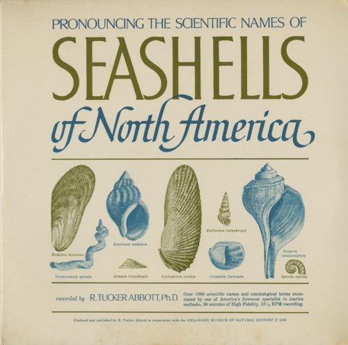 pronouncing the scientific names of seashells record jacket