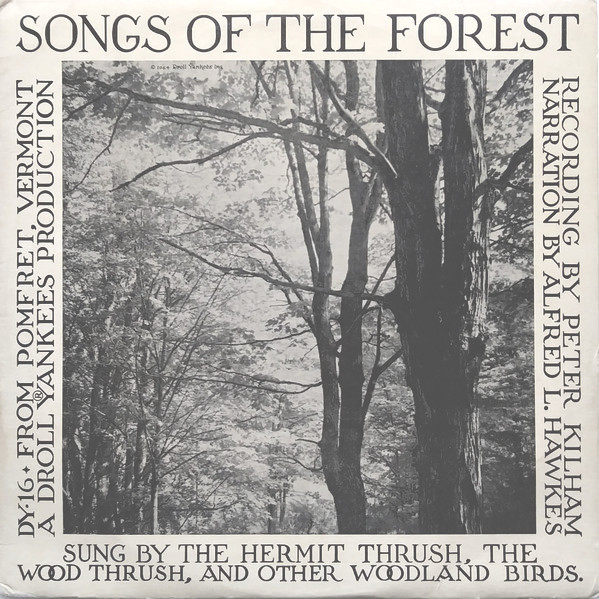 songs of the forest album cover