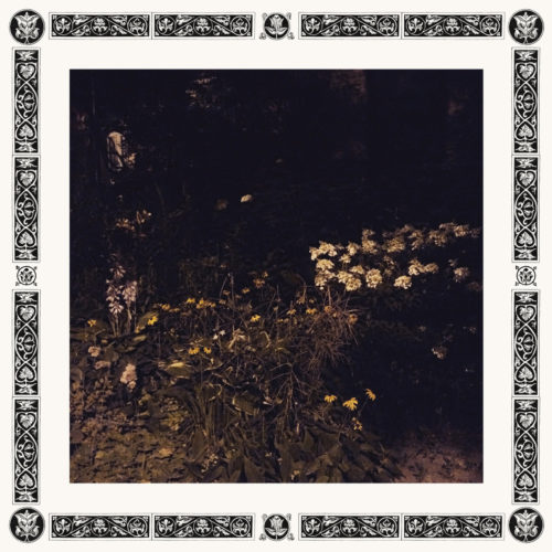 sarah davachi - pale bloom album cover