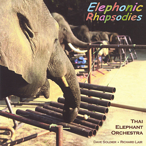 thai elephant orchestra album cover