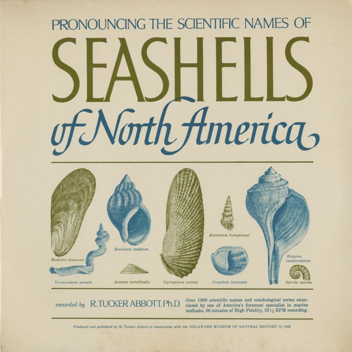 pronouncing the scientific names of seashells record jacket